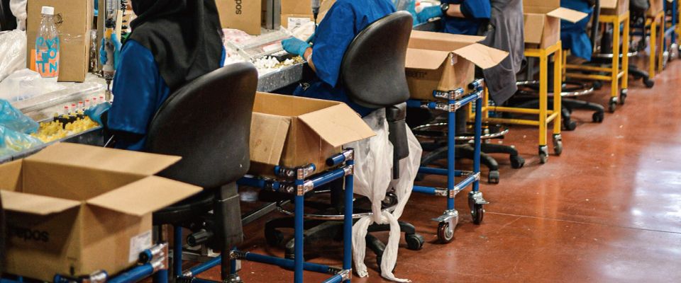 Handtruck Aanbeveling voor Fabrieksindustrie